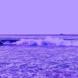 Meet your Posher, Sierra